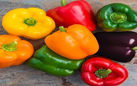 فلفل دلمه خوراکی ارزش غذایی بالا مناسب رژیم